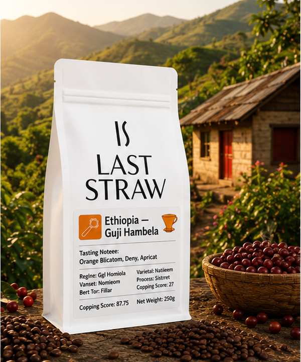 Ethiopia (Filter)